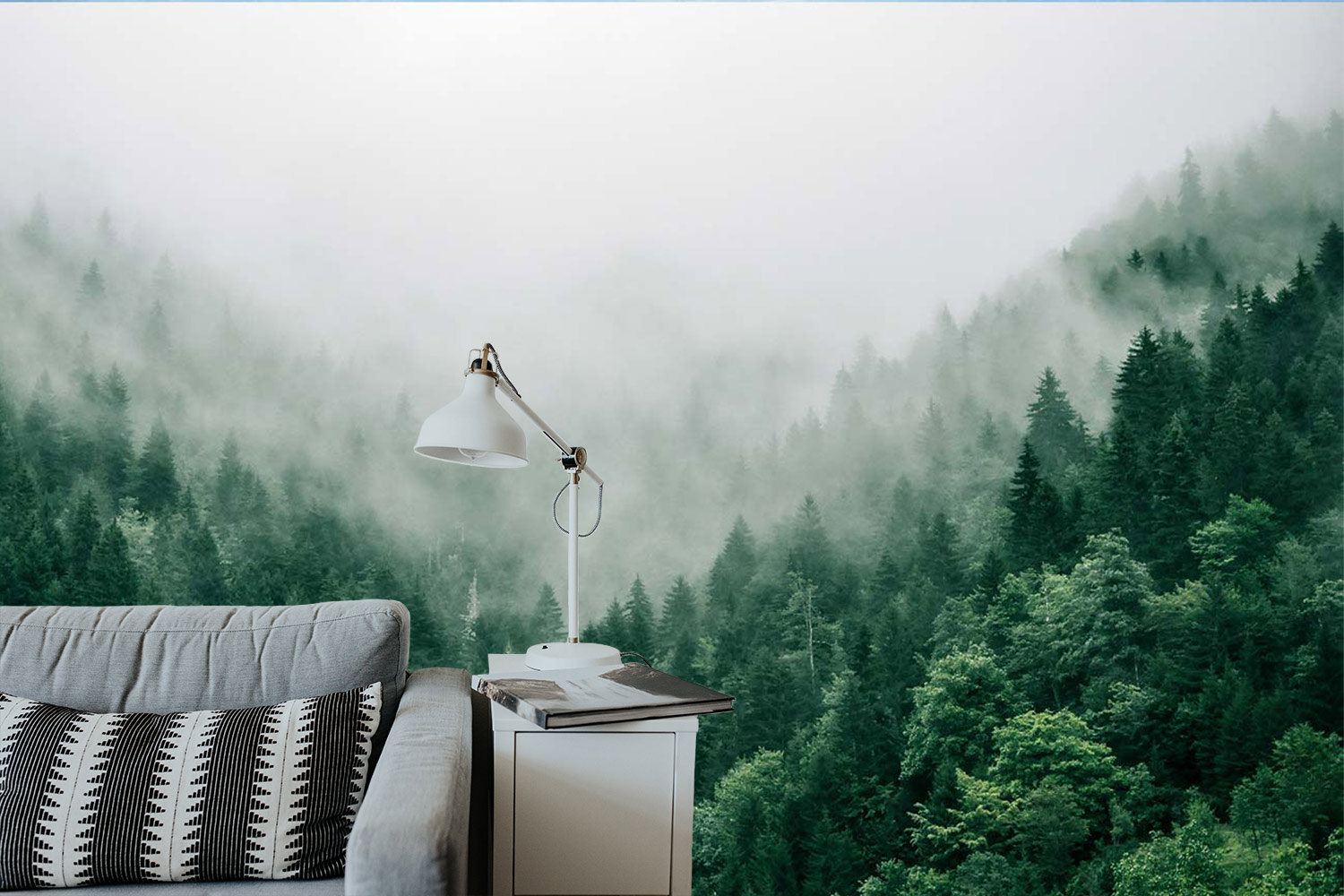 natuur interieur bos met mist